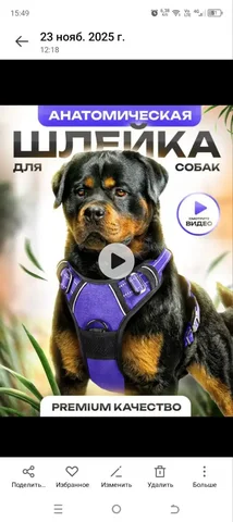 Продам шлейку для собаки XL с регулировкой и светоотражателями - Животные в Заречный