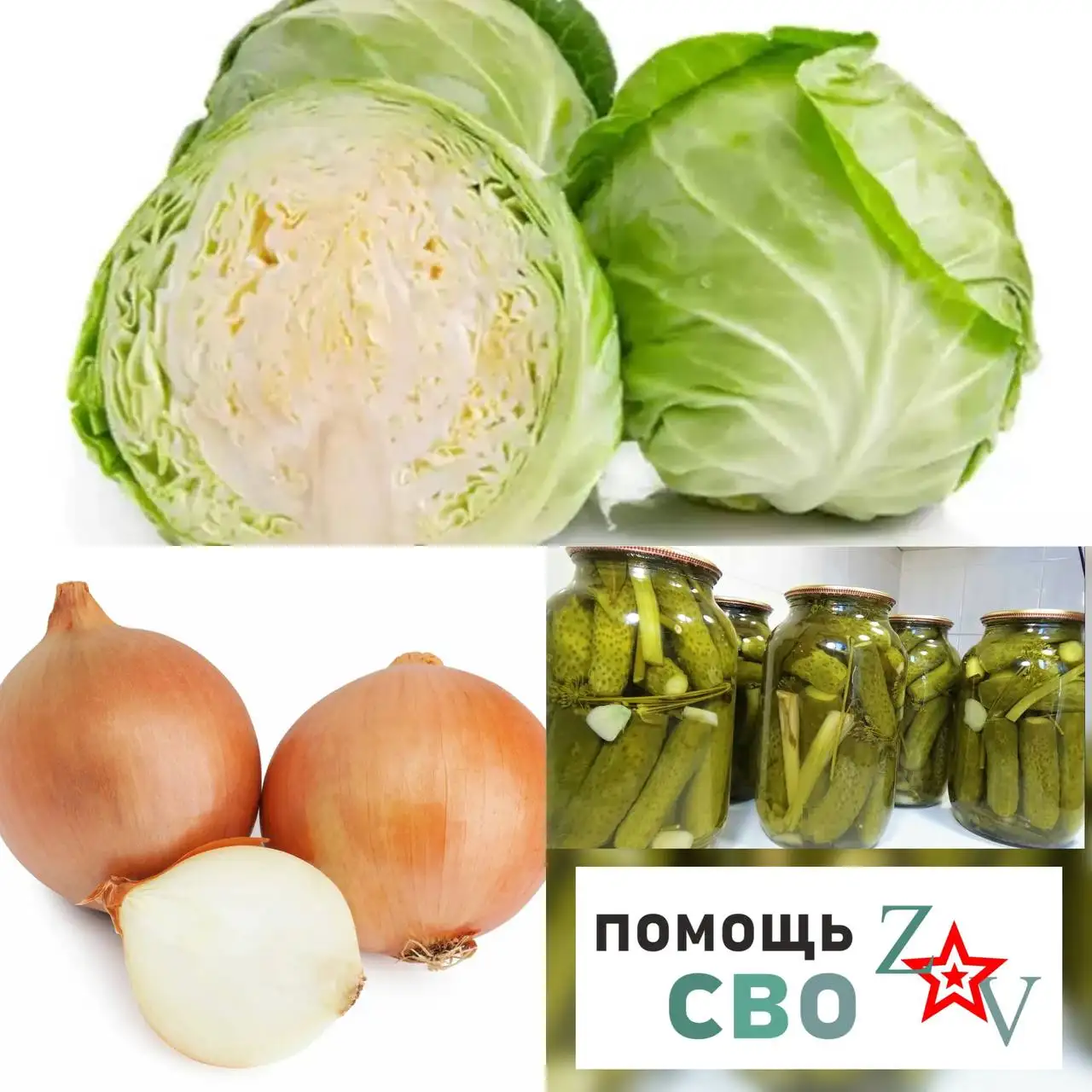 Покупка маринованных овощей для СВО - Закупка (Услуги) в Заречный
