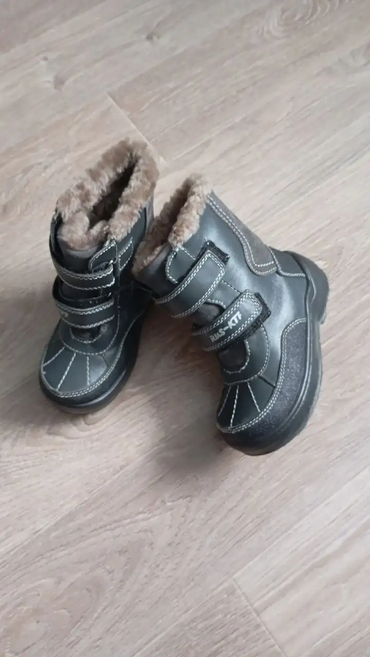 Продажа кота породы Котофей - Кошки (Животные) в Заречный