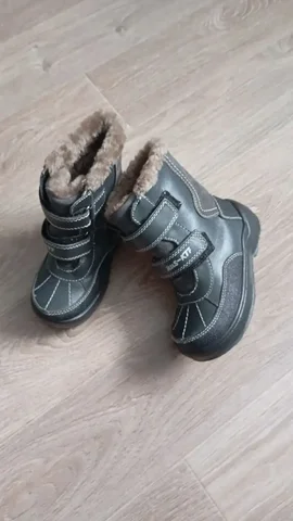 Продажа кота породы Котофей - Животные в Заречный