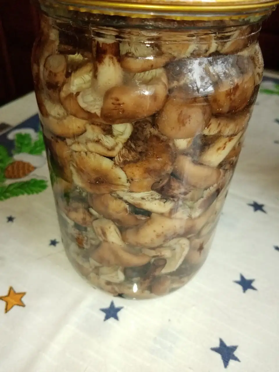 Опята банка 0,5 - Барахолка в Заречный