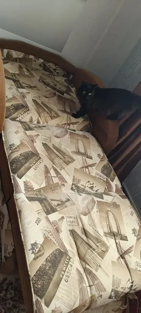 Бесплатно, самовывоз, косяки на фото - частное объявление в Заречный