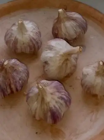 Продажа крупного чеснока с огорода - Продукты питания (Барахолка) в Заречный