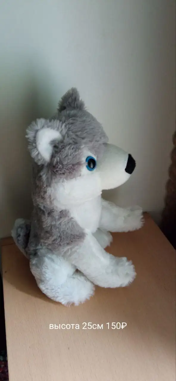 Куплю-Продам-Услуги в Заречном (Пенза) - Животные (Барахолка) в Заречный