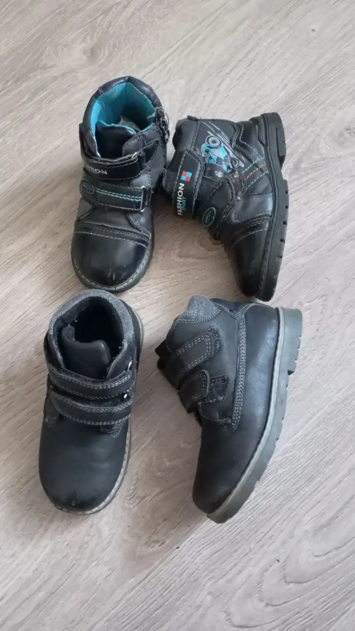 Продажа весенних саженцев в Заречном - Саженцы (Для дома и дачи) в Заречный