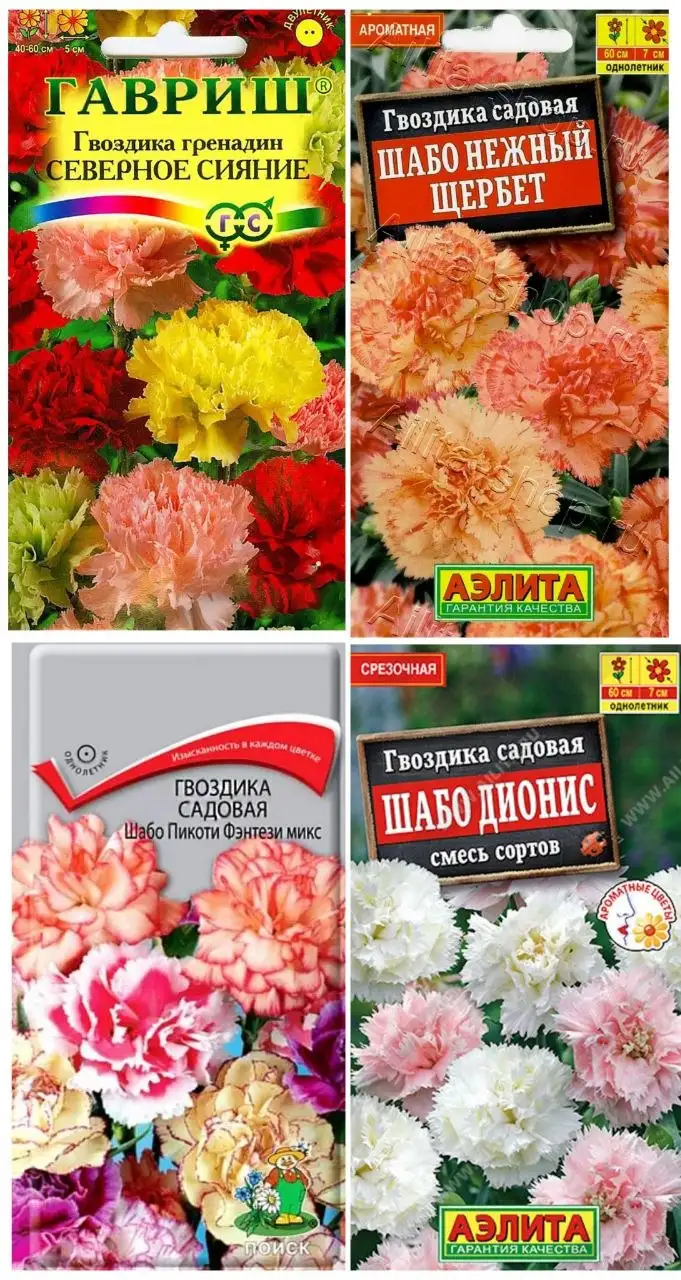 Рассада цветов в стаканчиках - Растения (Хобби и отдых) в Заречный