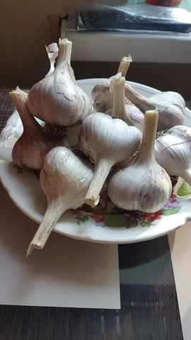 Продажа чеснока 1 кг - частное объявление в Заречный