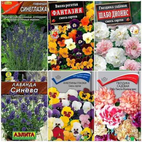 Рассада овощей и цветов в стаканчиках - Рыбалка в Заречный