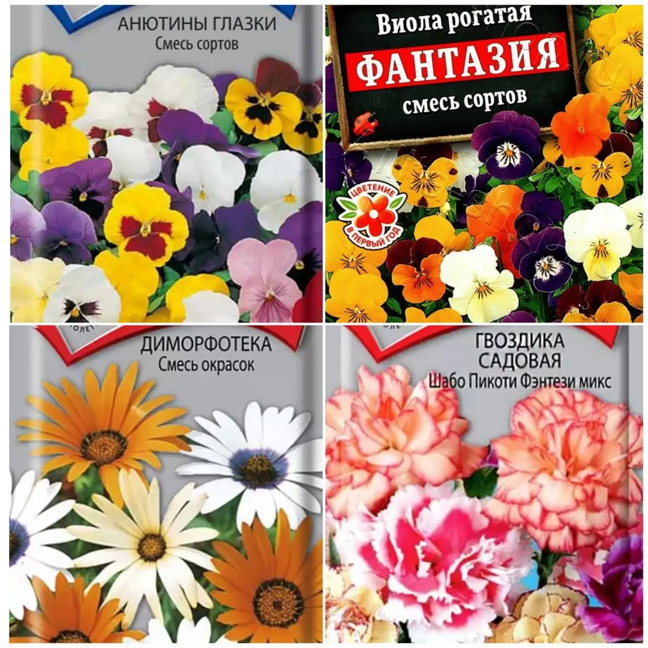Рассада цветов в стаканчиках - Растения (Хобби и отдых) в Заречный