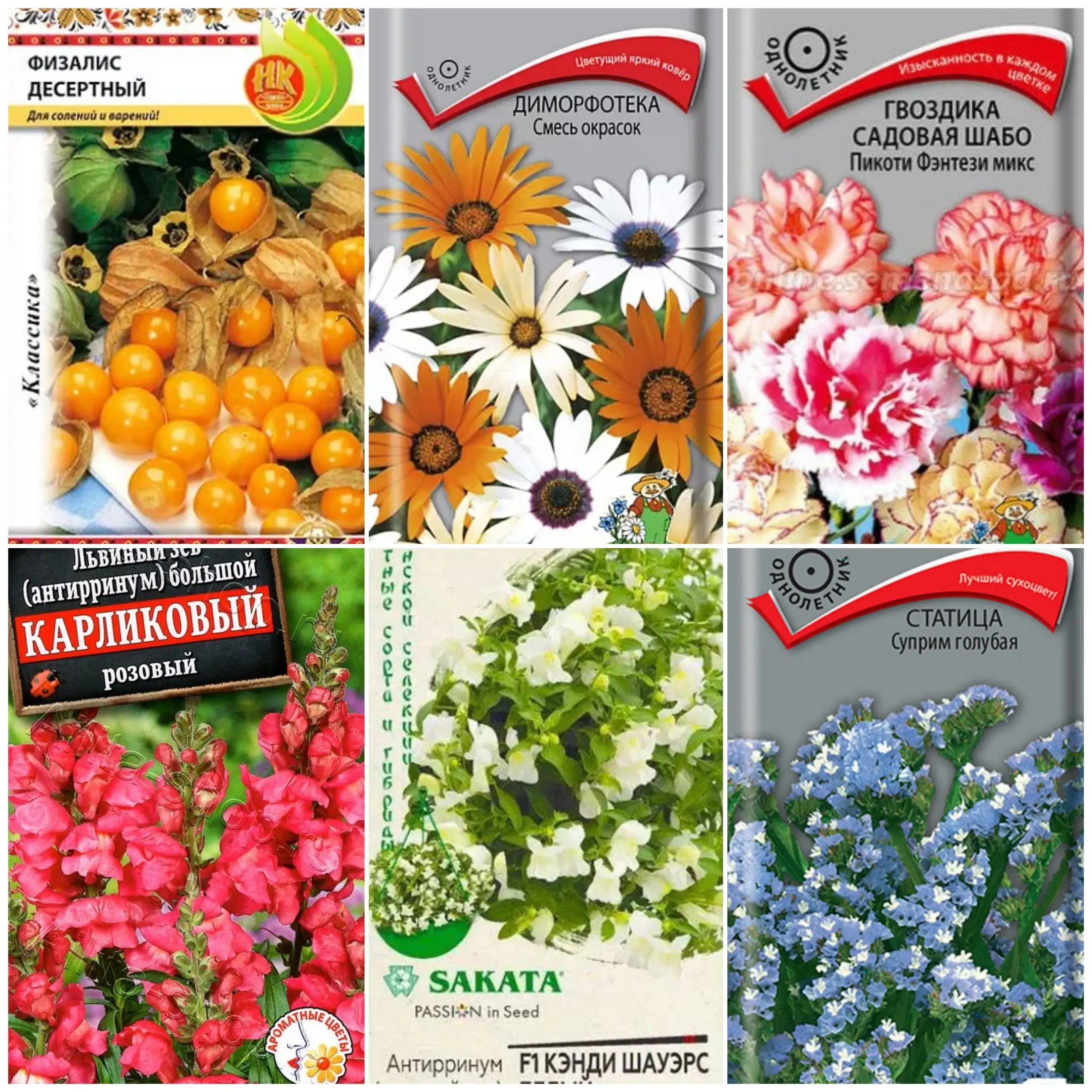 Продажа рассады в стаканчиках - Рассада (Для дома и дачи) в Заречный