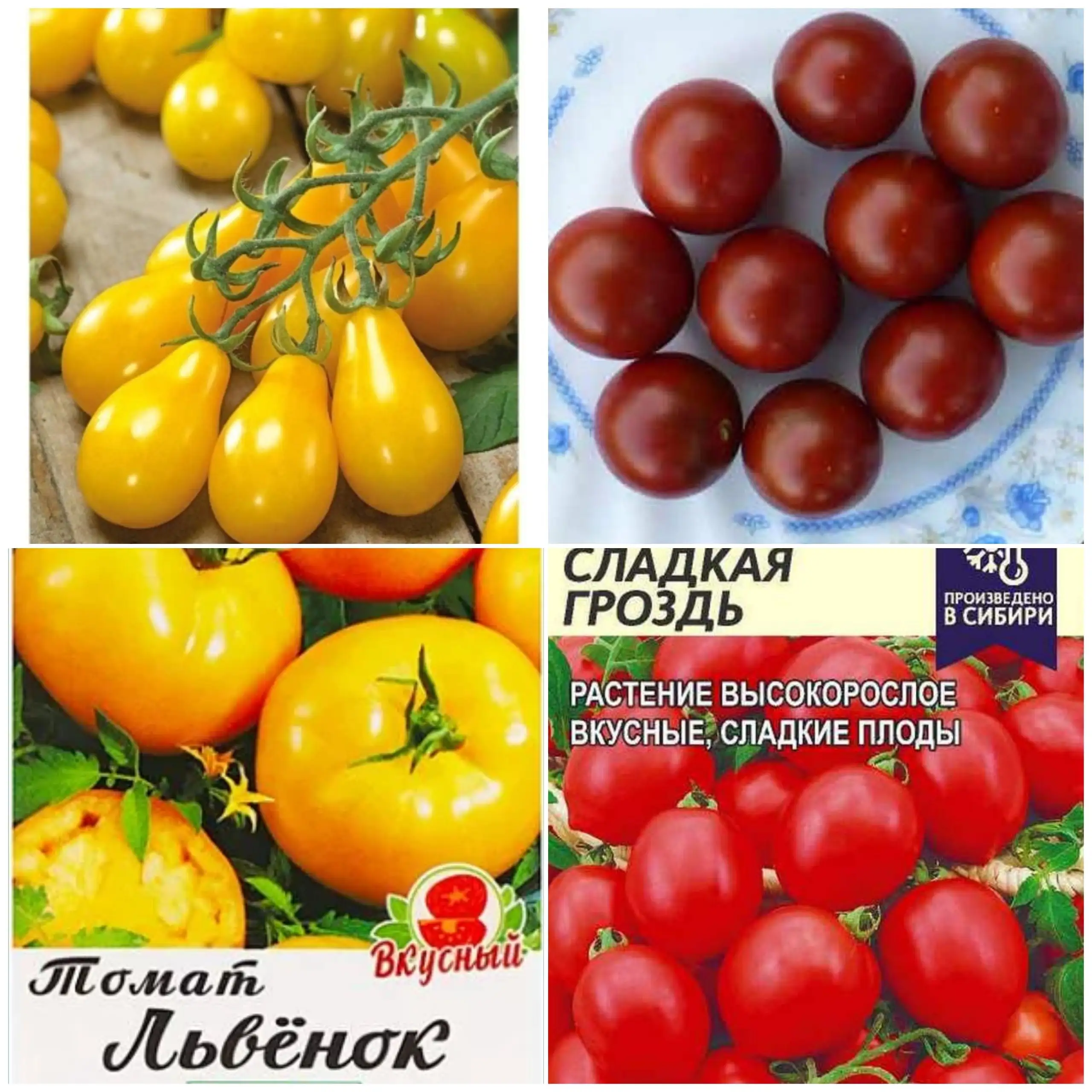 Продажа корней томатов и перца - Рассада (Для дома и дачи) в Заречный
