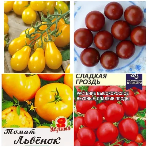 Продажа корней томатов и перца - Чемоданы и сумки в Заречный
