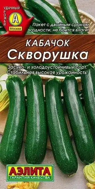 Кабачки рассада - Хобби и отдых в Заречный