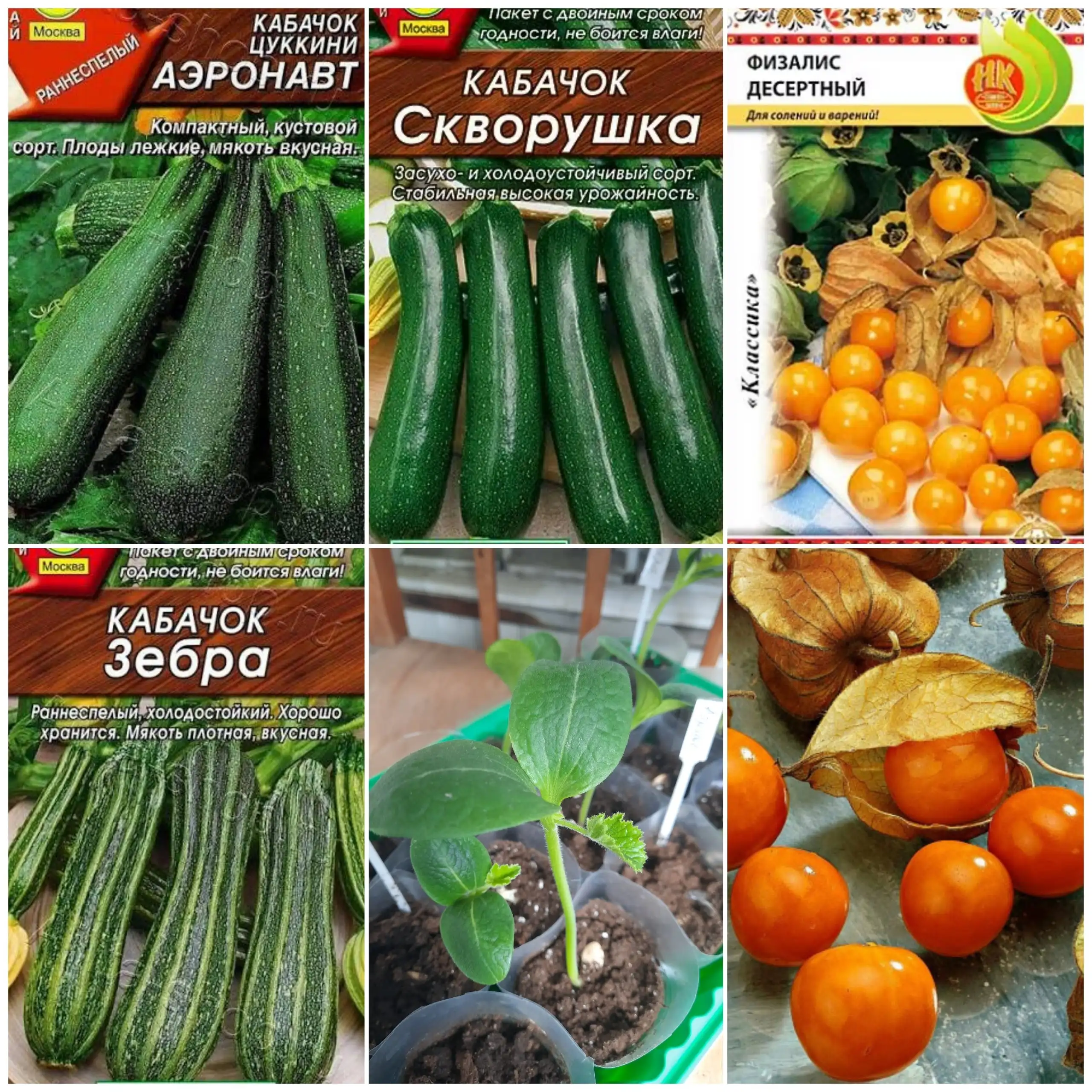 Рассада цветов и овощей - Рассада (Для дома и дачи) в Заречный