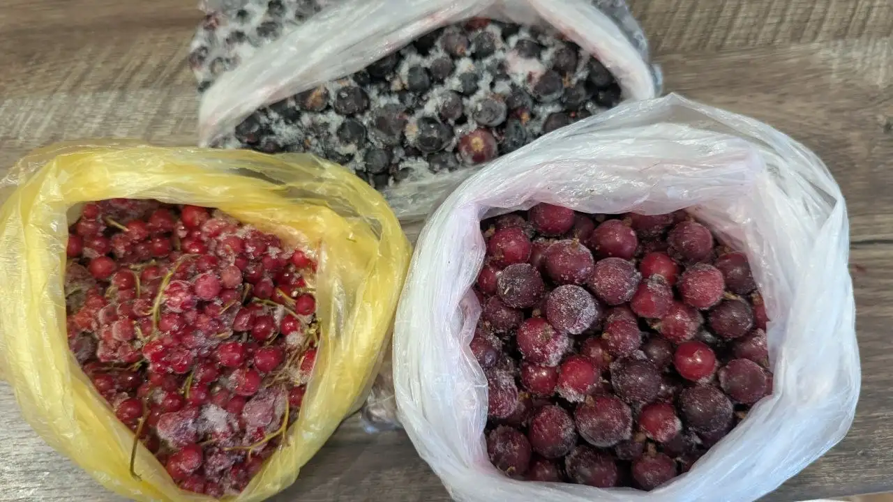 Продам замороженные ягоды - Ягоды (Продукты) в Заречный