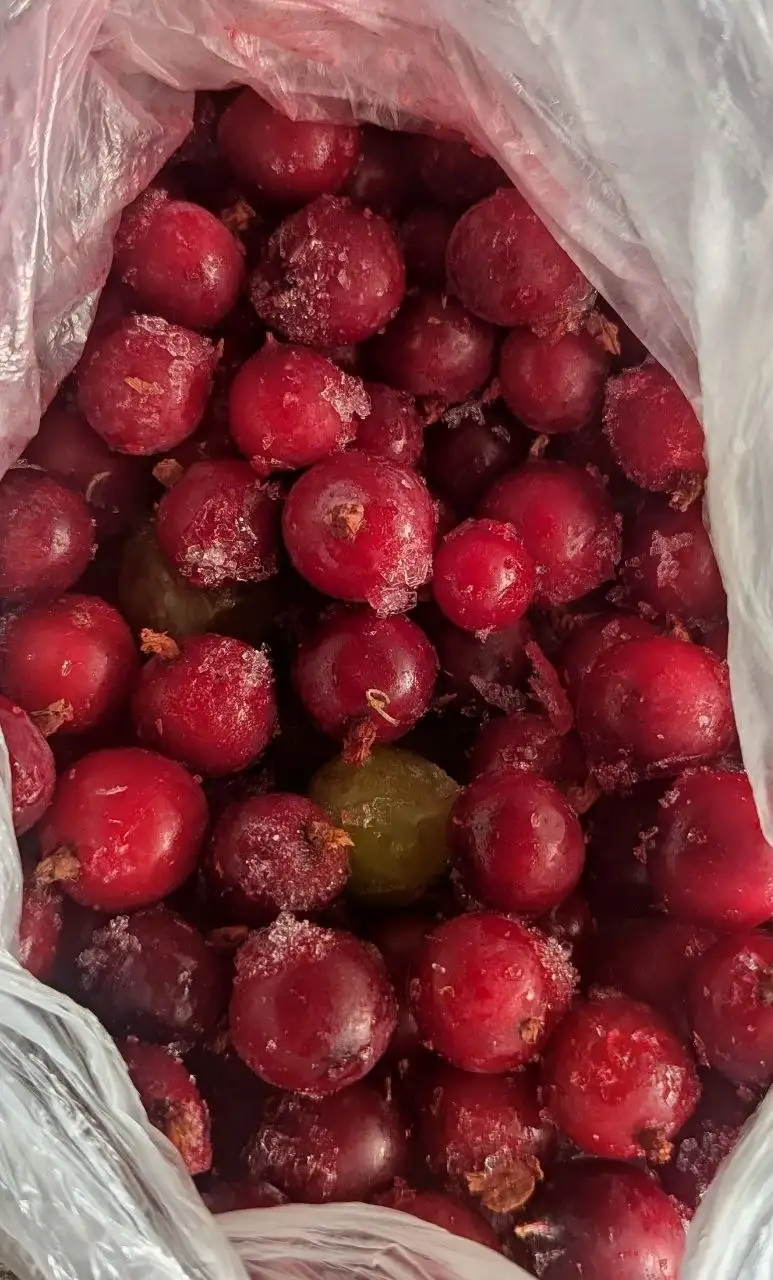 Продам замороженные ягоды - Замороженные ягоды (Продукты) в Заречный