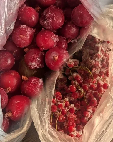 Продажа замороженной ягоды - Продукты питания в Заречный