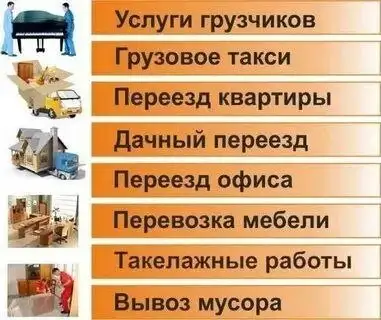 Продажа змей - Животные в Заречный