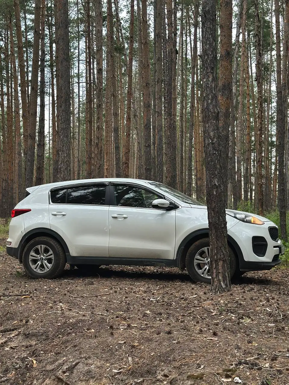 Kia Sportage 2016 175000 км - Легковые автомобили (Авто) в Самара