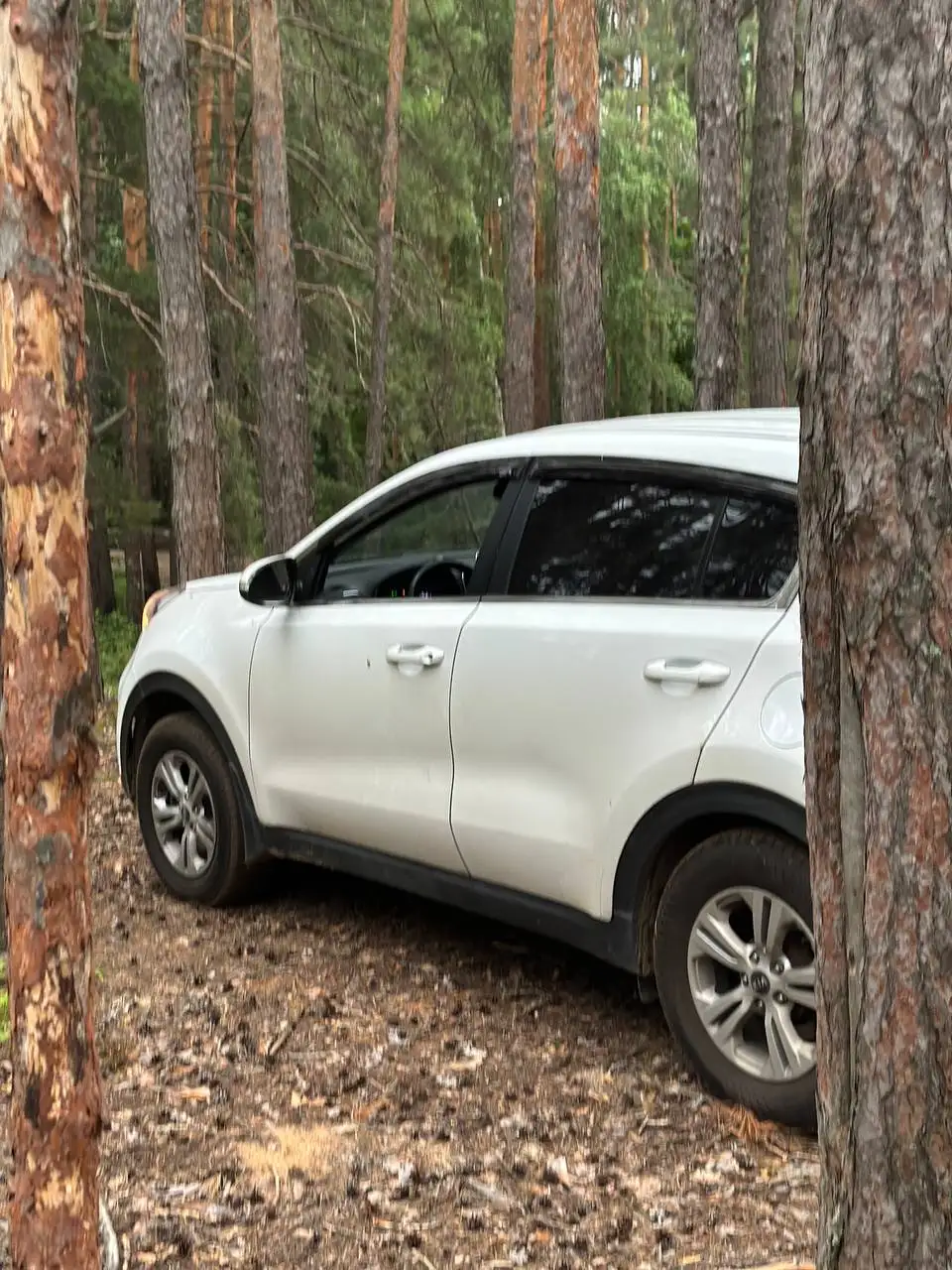 Kia Sportage 2016 175000 км - Легковые автомобили (Авто) в Самара