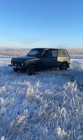 Продам Ниву 2131 2014 года - частное объявление в Самара