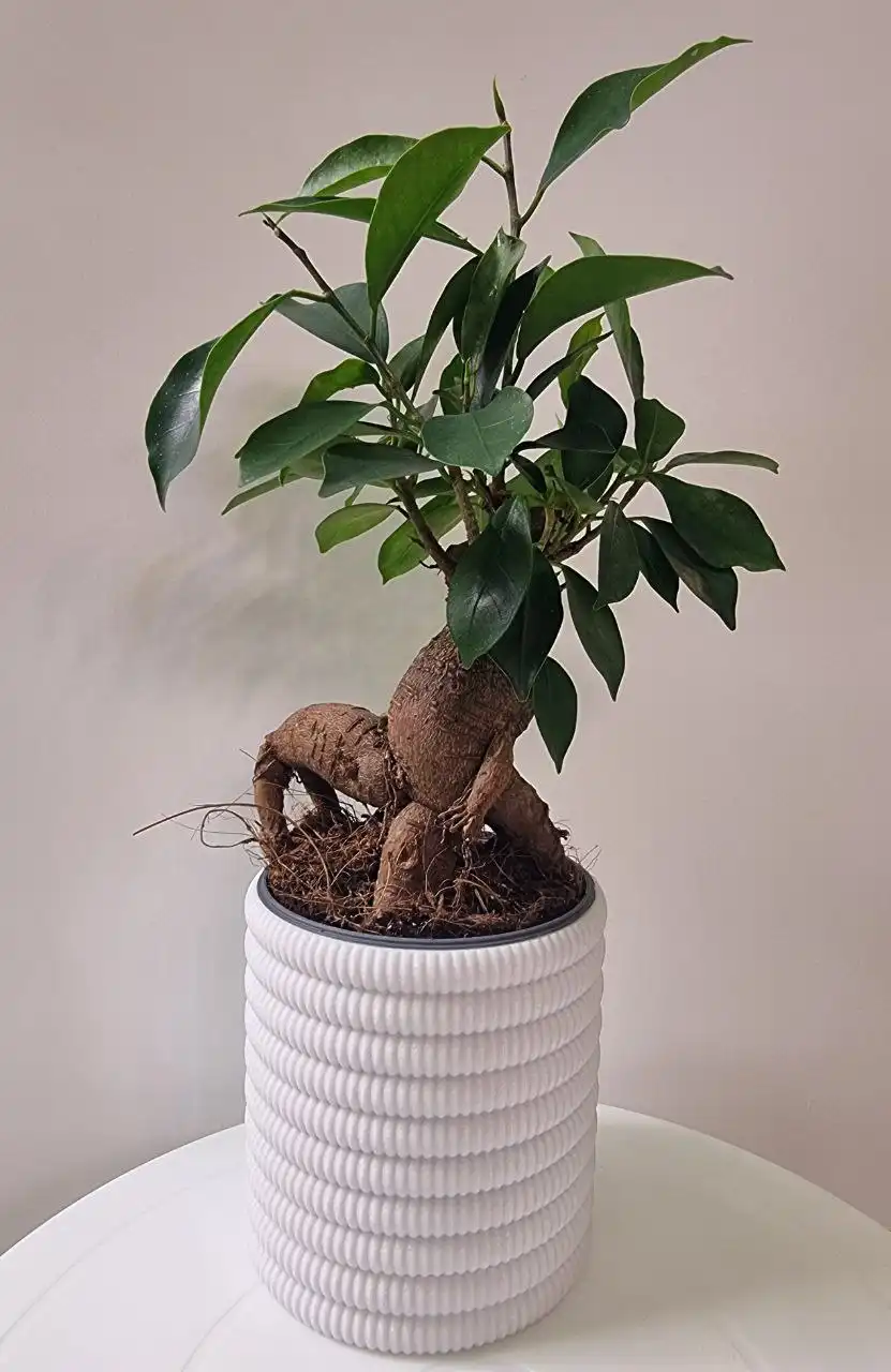 Горшок для цветов