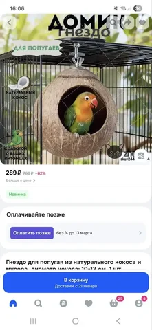 Комнатные растения в Красноярске - Хобби и отдых в Красноярск