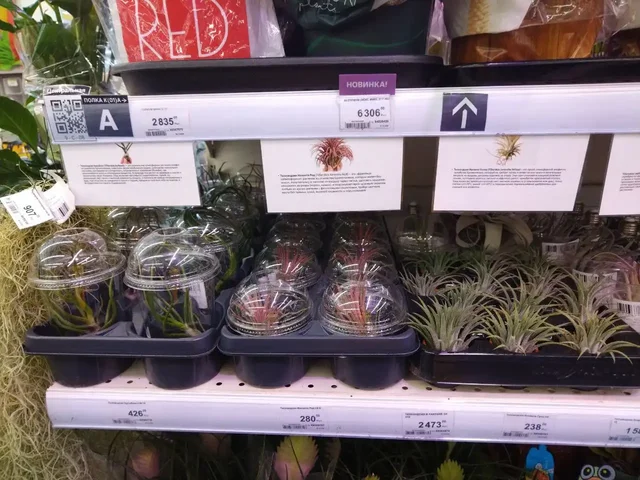 Лемана Про на Калинина - Хобби и отдых в Красноярск