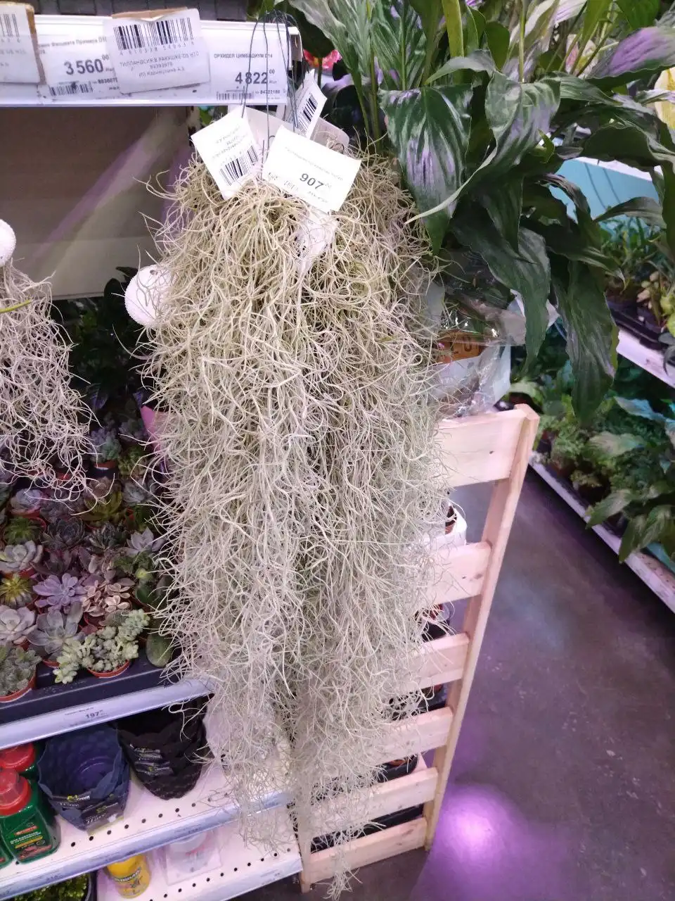 Лемана Про на Калинина