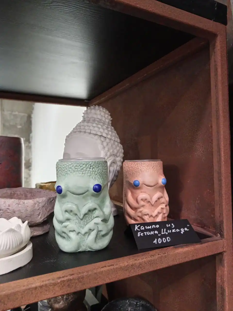 Продажа комнатных растений и кашпо - Комнатные растения в Красноярск