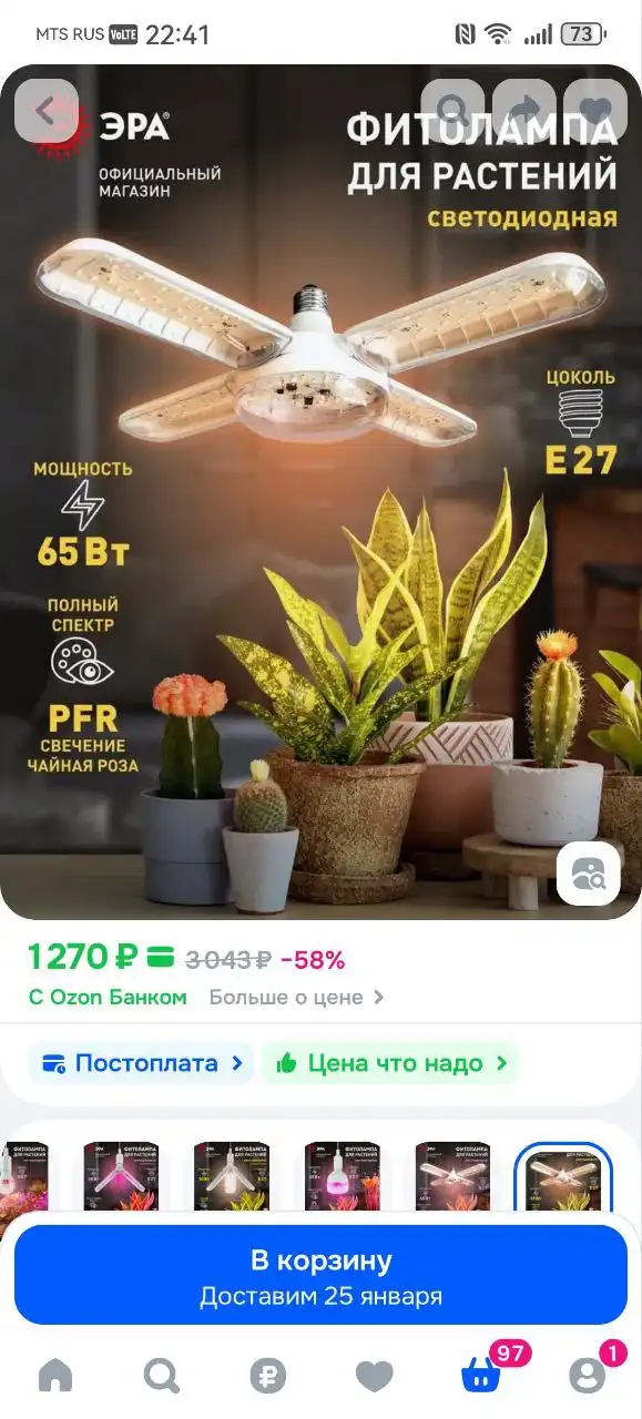 Продажа комнатных растений в Красноярске - Растения (Хобби и отдых) в Красноярск