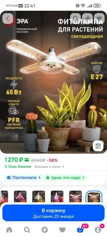 Продажа комнатных растений в Красноярске - Велосипеды в Красноярск