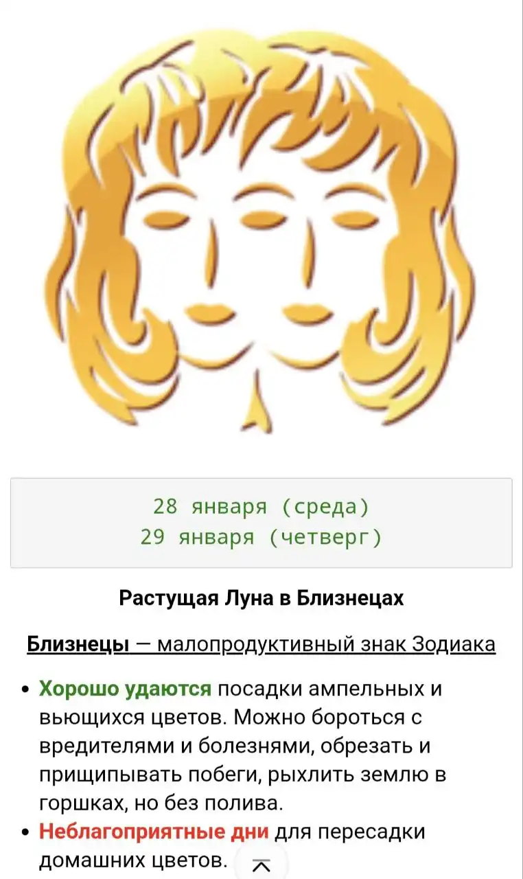 Лунный календарь для комнатных растений - Астрология/Лунный календарь (Хобби и отдых) в Красноярск