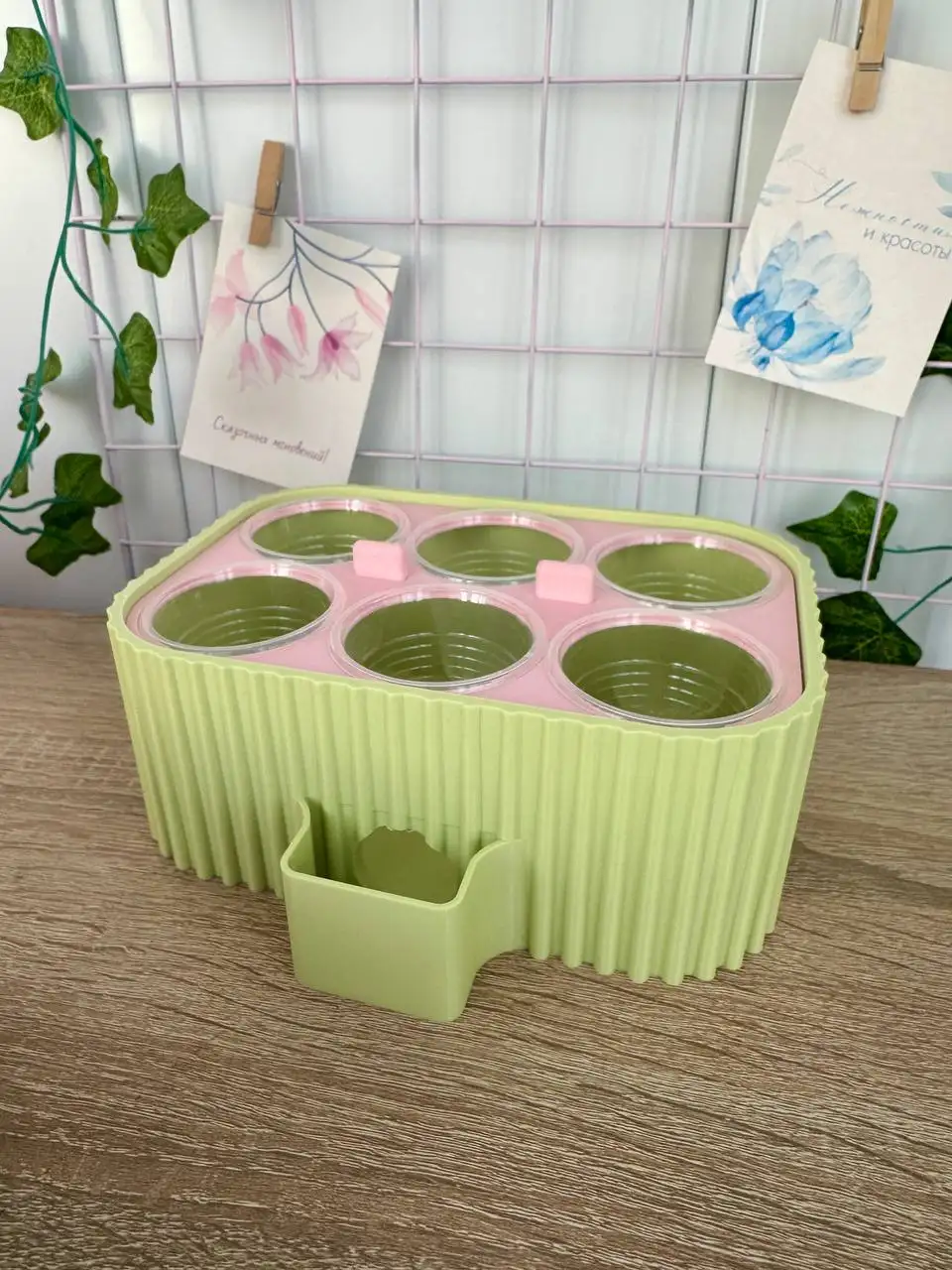 Бейби бокс для фитильного полива растений - Комнатные растения (Хобби и отдых) в Красноярск