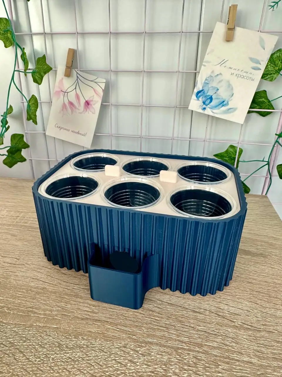 Бейби бокс для фитильного полива растений - Комнатные растения (Хобби и отдых) в Красноярск