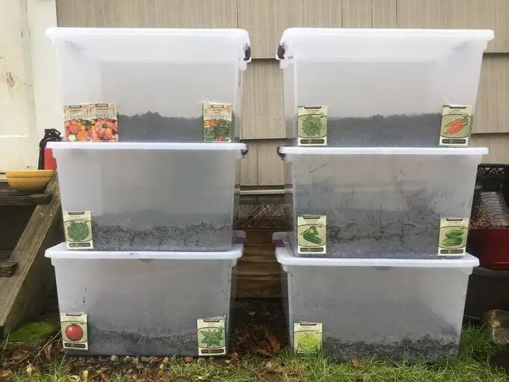 Идеи для парничков - Комнатные растения (Хобби и отдых) в Красноярск