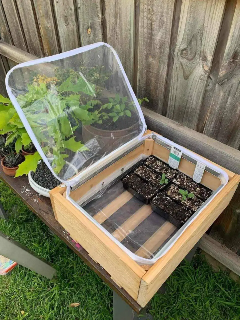 Идеи для парничков - Комнатные растения (Хобби и отдых) в Красноярск