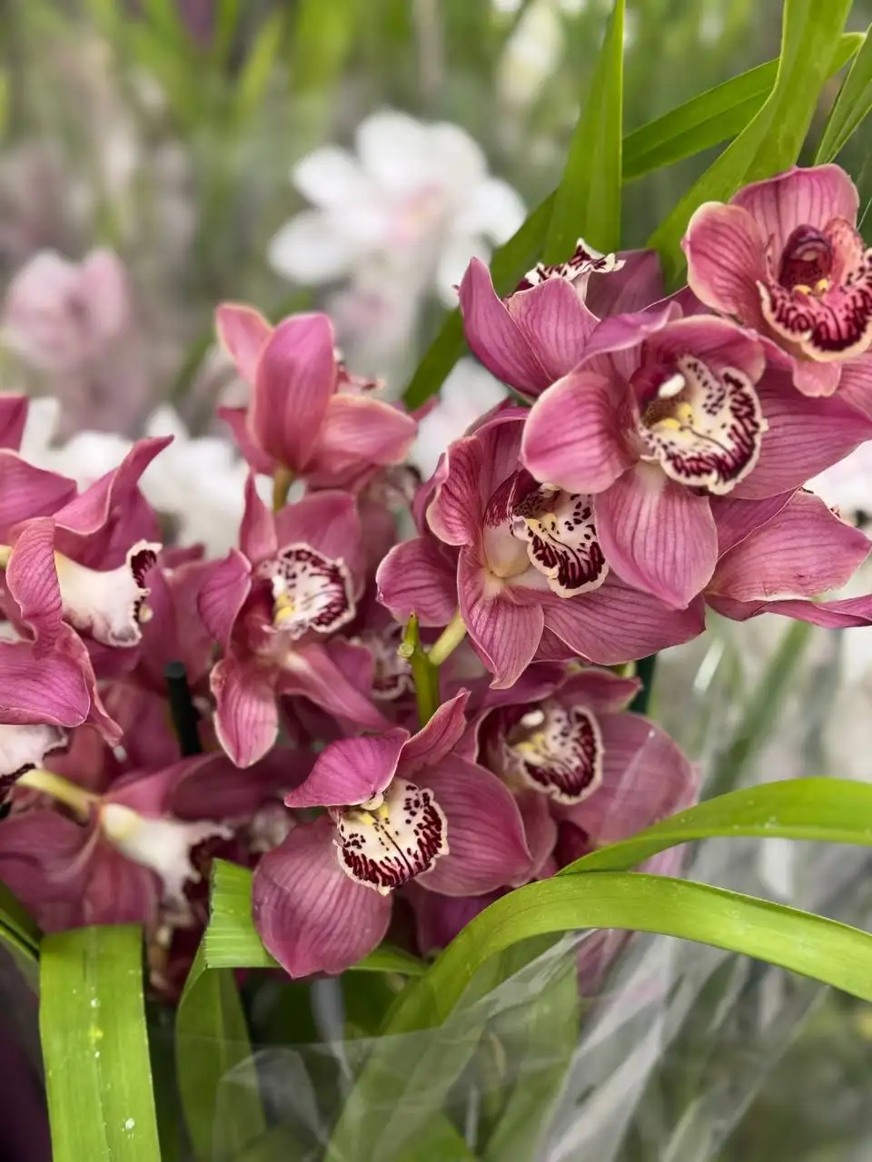 Круглосуточная доставка цветов в Москве и регионах - Доставка цветов (Услуги) в Красноярск