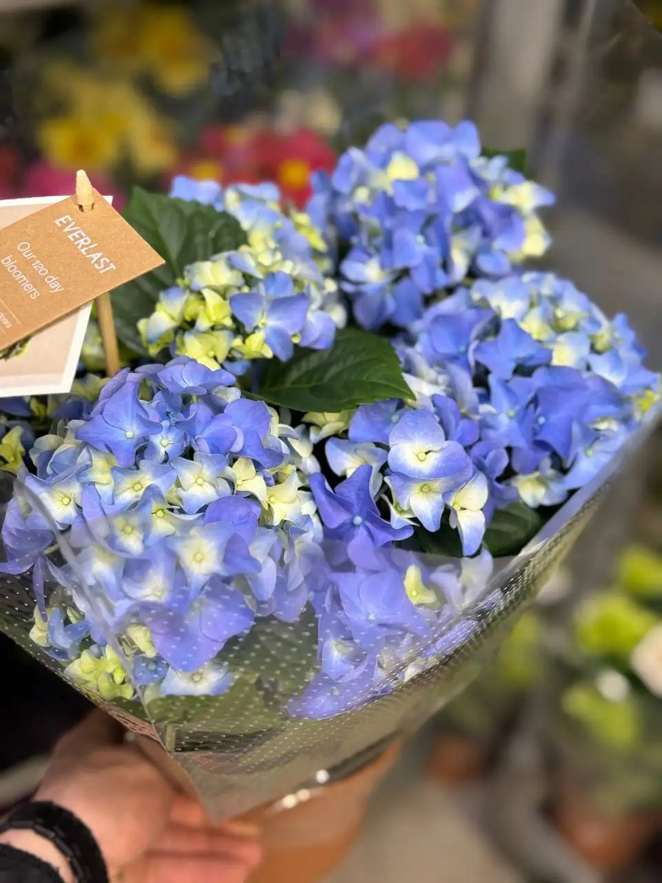 Круглосуточная доставка цветов в Москве и регионах - Доставка цветов (Услуги) в Красноярск