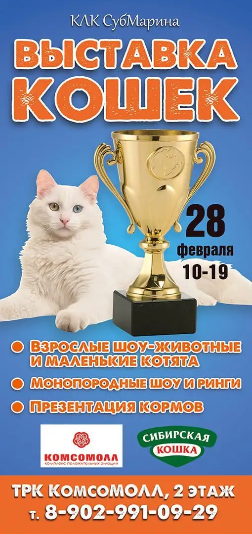 Выставка кошек в ТРК КомсоМОЛЛ - Выставка животных (Хобби и отдых) в Красноярск