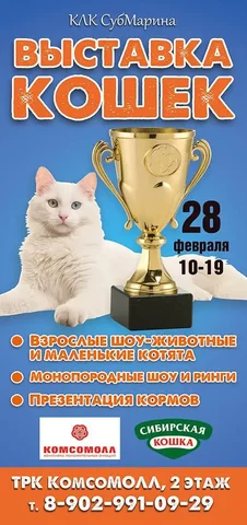 Выставка кошек в ТРК КомсоМОЛЛ - Канцтовары в Красноярск