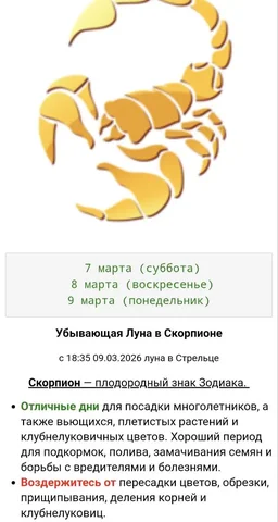 Лунный календарь для комнатных растений - Садоводство и комнатные растения в Красноярск