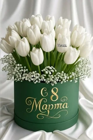 Комнатные растения в Красноярске - Садоводство и комнатные растения в Красноярск