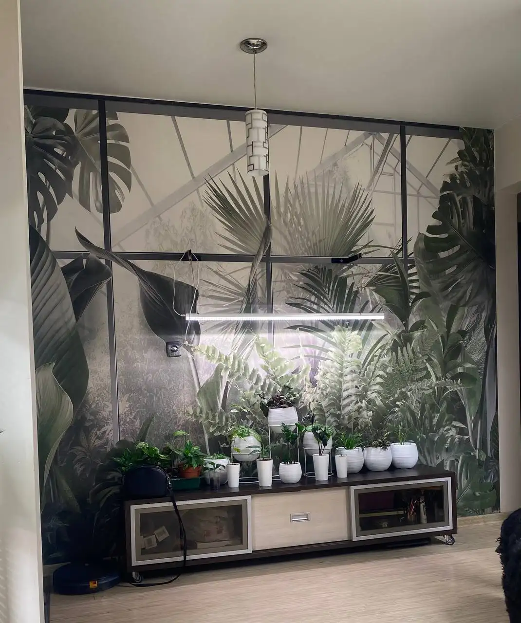 Продажа комнатных растений - Комнатные растения (Животные) в Красноярск