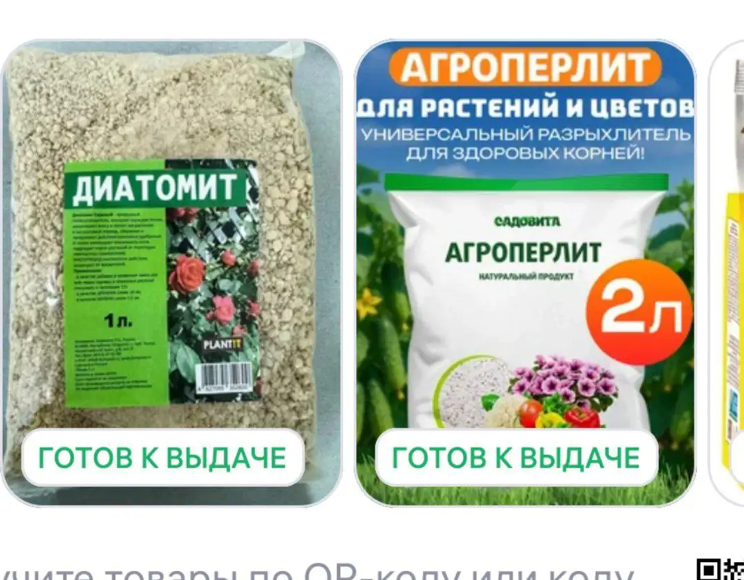 Вопрос о комнатных растениях в Красноярске - Комнатные растения (Хобби и отдых) в Красноярск