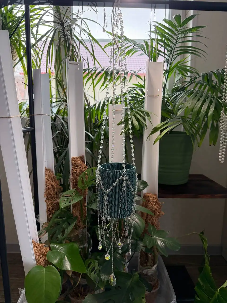 Подвесы для комнатных растений - Комнатные растения (Для дома и дачи) в Братск