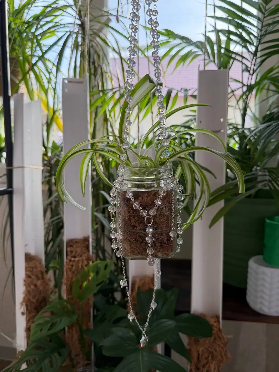 Подвесы для комнатных растений - Комнатные растения (Для дома и дачи) в Братск