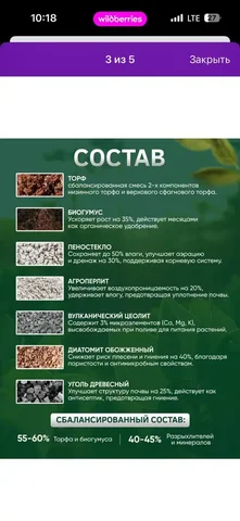 Комнатные растения в Красноярске - Самокаты в Красноярск