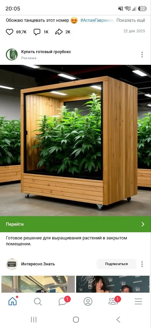 Комнатные растения в Красноярске - Для дома и дачи в Красноярск