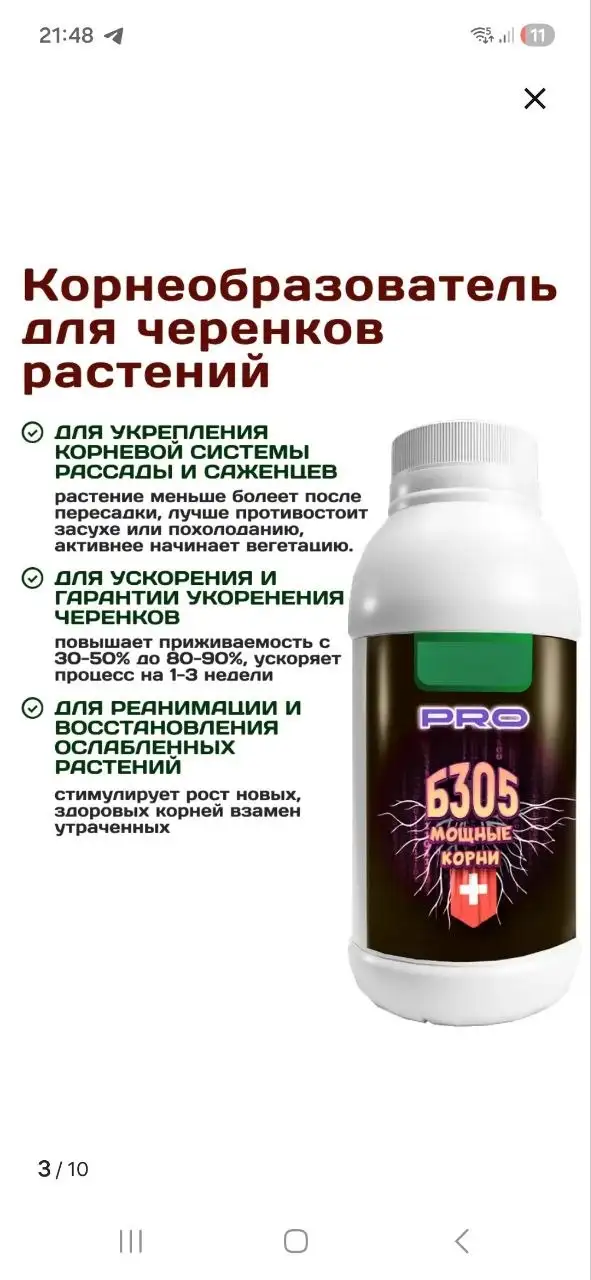 Комнатные растения в Красноярске - Комнатные растения (Хобби и отдых) в Красноярск